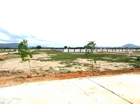 5) Li Id : 181 - Pic -6.JPG